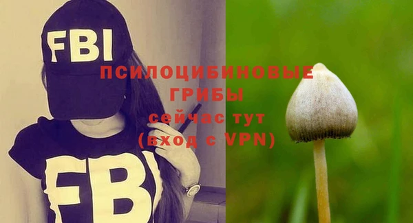 спайс Баксан