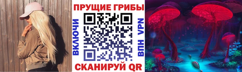 хочу Рудня Галлюциногенные грибы Magic Shrooms